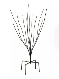 Bottle Bush 7 Bottle Bush -Optimal Garden Care 8588047 0697