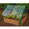 Extendable Cold Frame Greenhouse 1 Extendable Cold Frame Greenhouse -Optimal Garden Care 8588247 03V extendable cold frame greenhouse
