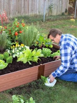Composite Raised Bed With 1" Boards, 11" -Optimal Garden Care 8588274 02V tif