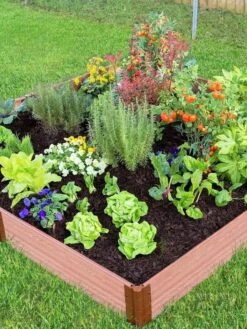 Composite Raised Bed With 1" Boards, 11" -Optimal Garden Care 8588274 03V tif