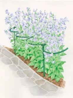 Tidy Path Supports -Optimal Garden Care 8588403 003 1