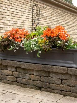 Fairfield Self-Watering Window Box, 5’ -Optimal Garden Care 8588938 105V tif