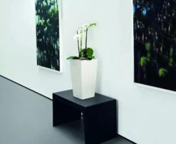 Lechuza® Cubico Color Tall Self-Watering Planters -Optimal Garden Care 8589485 03V tif