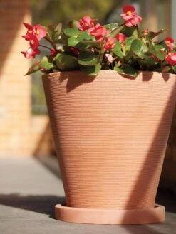 Universal Round Planter Saucers -Optimal Garden Care 8589526 001V tif