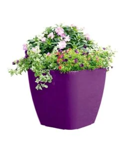 Viva Square Self-Watering Rolling Planter, 17.5" Diameter -Optimal Garden Care 8589778PR 6126 tif