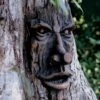 Friendly Ent Tree Face -Optimal Garden Care 8589841 001v