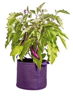 Gardener's Best® Universal Grow Bag -Optimal Garden Care 8590024PR 214 tif