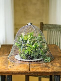 Chicken Wire Cloche -Optimal Garden Care 8590210 1 tif