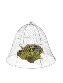 Chicken Wire Cloche -Optimal Garden Care 8590210 675 tif
