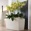 Lechuza® Cararo Rectangular Indoor Planter With Casters 1 Lechuza® Cararo Rectangular Indoor Planter With Casters -Optimal Garden Care 8590295 02v lechuza cararo rectangular indoor planter with casters
