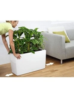 Lechuza® Cararo Rectangular Indoor Planter With Casters -Optimal Garden Care 8590295 03v