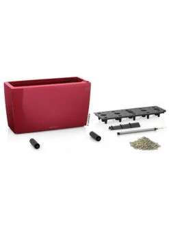 Lechuza® Cararo Rectangular Indoor Planter With Casters -Optimal Garden Care 8590295 04v