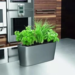 Lechuza® Delta Self-Watering Windowsill Planters -Optimal Garden Care 8590298 02V tif