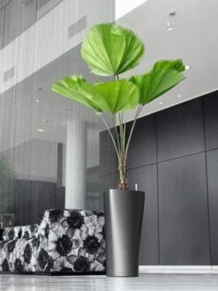 Lechuza® Delta Premium Self-Watering Planters -Optimal Garden Care 8590299 02V tif