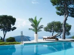 Lechuza® Delta Premium Self-Watering Planters -Optimal Garden Care 8590299 04V tif