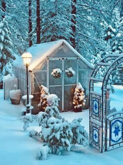 Canopia® By Palram Harmony™ Snap & Grow Greenhouse, 8' -Optimal Garden Care 8591048 06V jpg