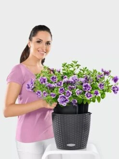 Lechuza® Nido Cottage Wicker Hanging Planter -Optimal Garden Care 8591154GT 006V tif