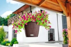 Optimal Garden Care 5 Lechuza® Nido Cottage Wicker Hanging Planter
