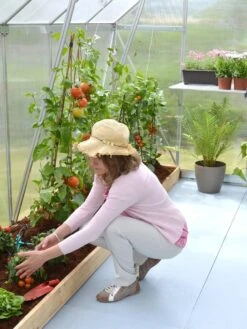 Canopia® By Palram Essence™ Greenhouse, 8' X 12' -Optimal Garden Care 8591356 04V tif