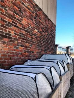 Row Shelter Accelerator -Optimal Garden Care 8591990 01IN tif