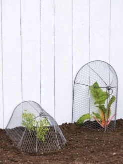 3-in-1 Chicken Wire Cloche -Optimal Garden Care 8592117 0188 tif