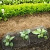 3-in-1 Chicken Wire Cloche -Optimal Garden Care 8592117 5598 1 chicken wire cloche 3 in 1 tif