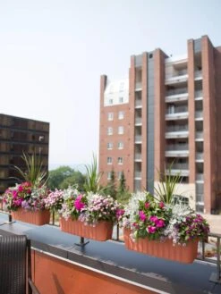 Adjustable Self-Watering Railing Planter, 24" -Optimal Garden Care 8592173TC 2383 tif