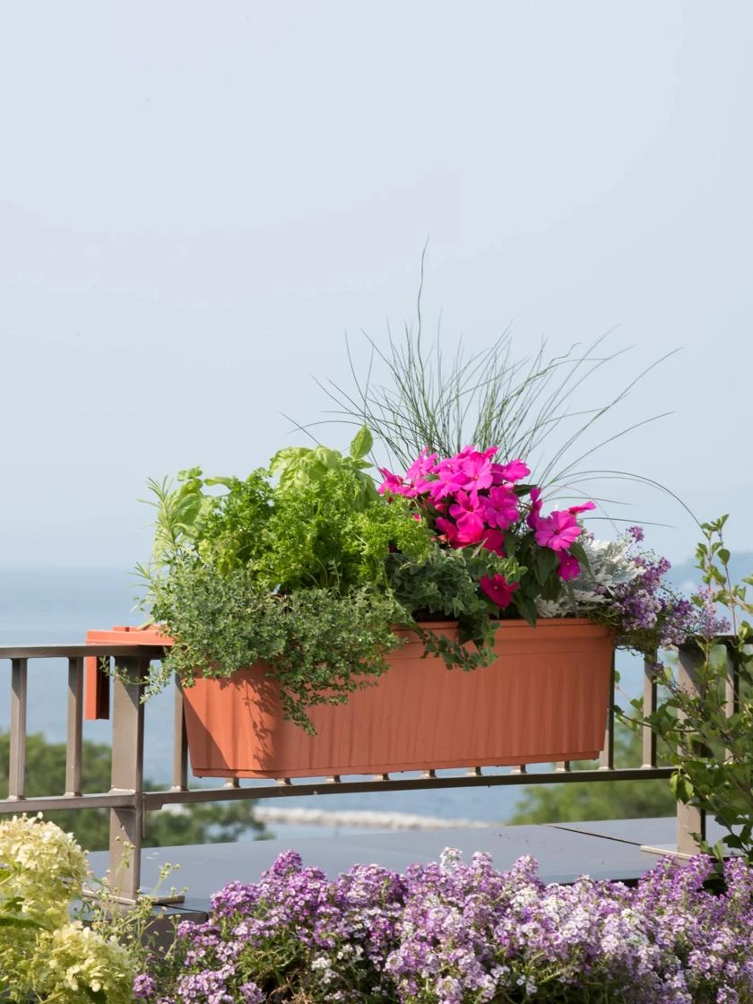 Adjustable Self-Watering Railing Planter, 32" 3 Adjustable Self-Watering Railing Planter, 32"