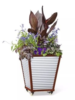 Galvanized Self-Watering Planters -Optimal Garden Care 8592177 5066 tif