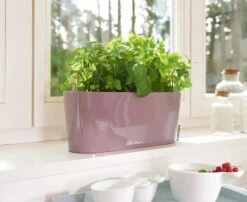 Lechuza® Delta Self-Watering Windowsill Planters -Optimal Garden Care 8592361 01V tif