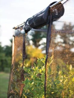 Storm Proof Crop Cage, Large -Optimal Garden Care 8592463 115 tif