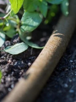 Premium 1/2" Soaker Hose -Optimal Garden Care 8592730 4933 tif