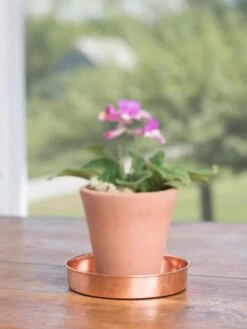 Extra Small Round Copper Plant Tray, 8" -Optimal Garden Care 8593528 4522 tif