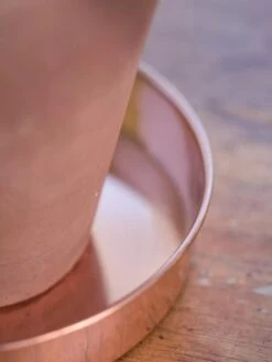 Extra Small Round Copper Plant Tray, 8" -Optimal Garden Care 8593528 4529 tif