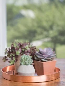 Large Round Copper Plant Tray, 14" -Optimal Garden Care 8593531 4518 tif