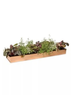 Rectangular Copper Plant Tray, 24" X 5" -Optimal Garden Care 8593533 2878 tif