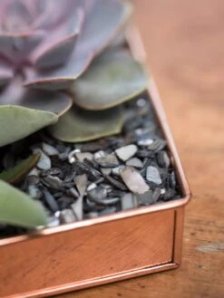 Rectangular Copper Plant Tray, 24" X 5" -Optimal Garden Care 8593533 4570 tif