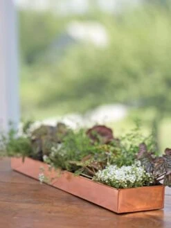 Rectangular Copper Plant Tray, 24" X 5" -Optimal Garden Care 8593533 4626 tif