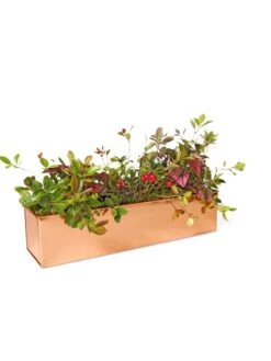 Tall Rectangular Copper Plant Tray, 18" X 5" X 4" -Optimal Garden Care 8593534 2899 tif