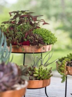 Small Round Copper Plant Tray, 10" -Optimal Garden Care 8593564 4399 tif