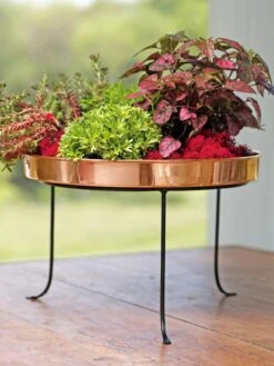 Large Round Copper Plant Tray, 14" -Optimal Garden Care 8593567 4636 tif