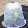 Large Garden Cloches, Set Of 3 -Optimal Garden Care 8593984 345 tif