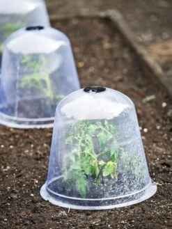 Large Garden Cloches, Set Of 3 -Optimal Garden Care 8593984 9432 tif