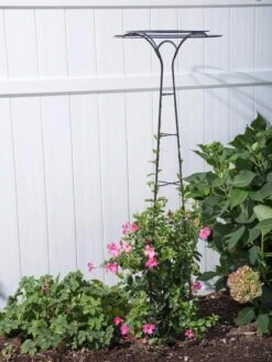 Essex Tuteur, 63" -Optimal Garden Care 8594162 0023 tif