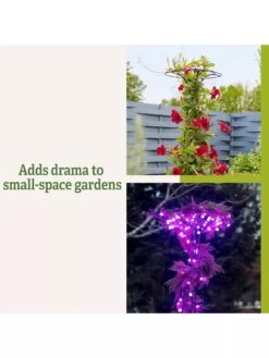 Essex Tuteur, 63" -Optimal Garden Care 8594162 3