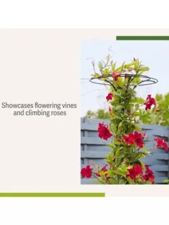 Essex Tuteur, 63" -Optimal Garden Care 8594162 4