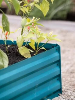 Demeter Corrugated Metal Raised Bed, 34" X 68" -Optimal Garden Care 8594183 470 tif