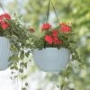 Weave Self-Watering Hanging Basket, 10" -Optimal Garden Care 8594316 2079 tif
