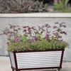 Short Galvanized Self-Watering Trough Planter -Optimal Garden Care 8594329 5064 tif