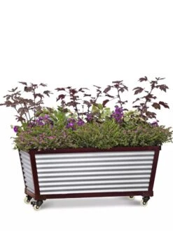 Short Galvanized Self-Watering Trough Planter -Optimal Garden Care 8594329 5065 tif